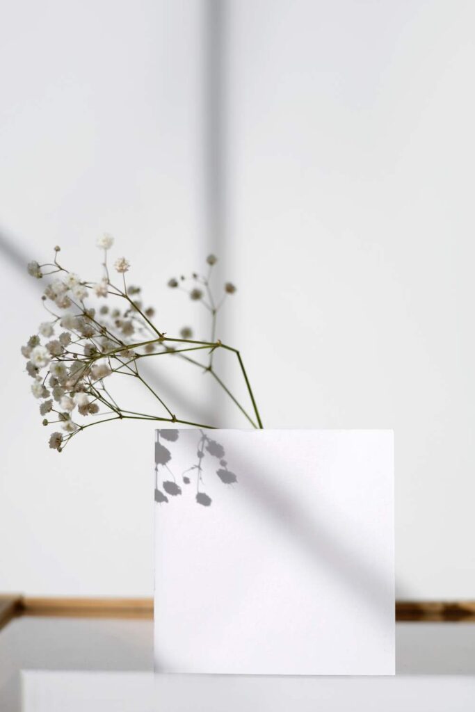 legzogyakorlat_mindfulness_coaching_stressz_csokkentese_doczy_julia_szeged